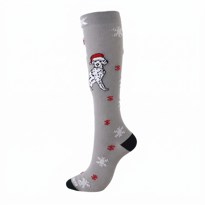Grey Dalmatian